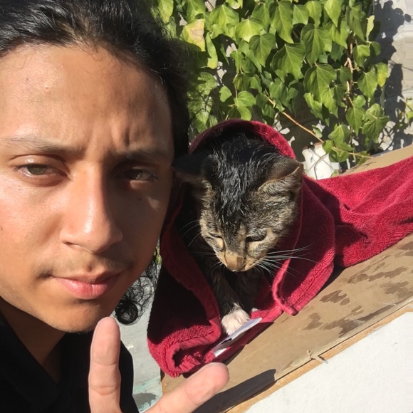 Meet your Posher, Edgar - Picture 1 of 4